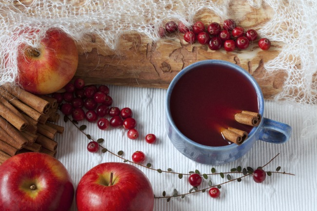 **Slow Cooker Cranberry Apple Punch