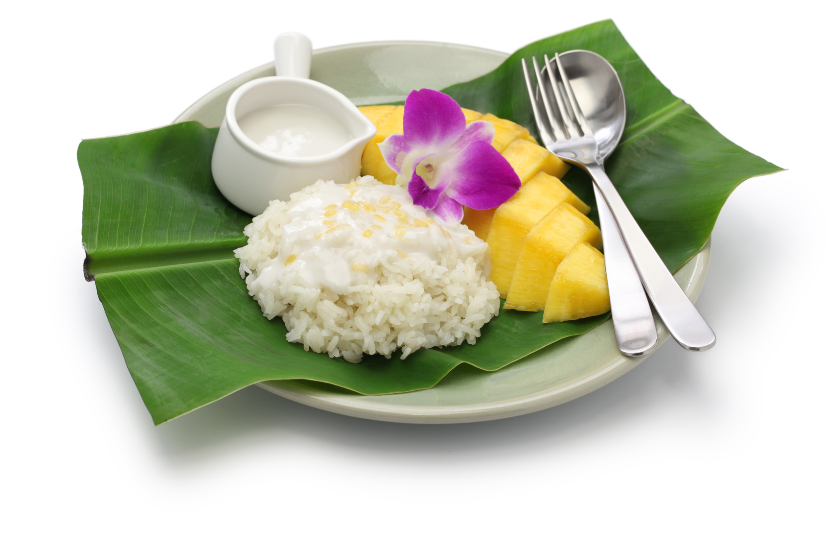 Slow Cooker Coconut Rice Pudding with Fresh Mango