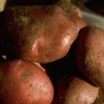 Crock Pot Broasted New Red Potatoes