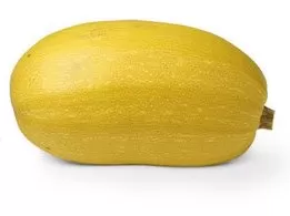 Spaghetti Squash